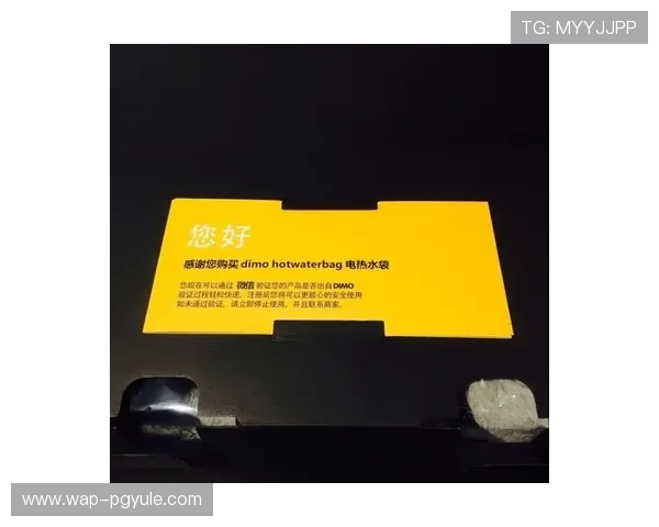 PG娱乐网址官方网站正式上线为玩家提供安全便捷的在线娱乐体验