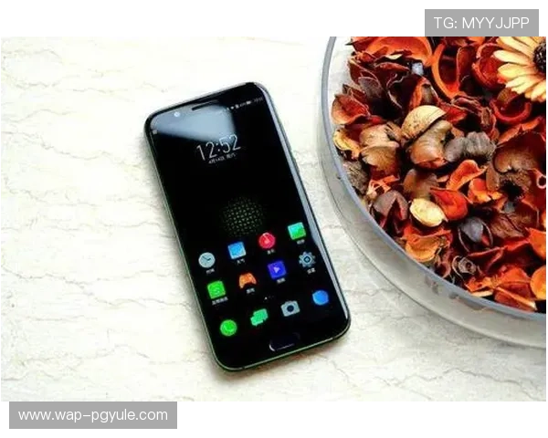 完美电竞百家乐官网最新上线，丰富游戏玩法与专业客服支持，打造极致娱乐体验